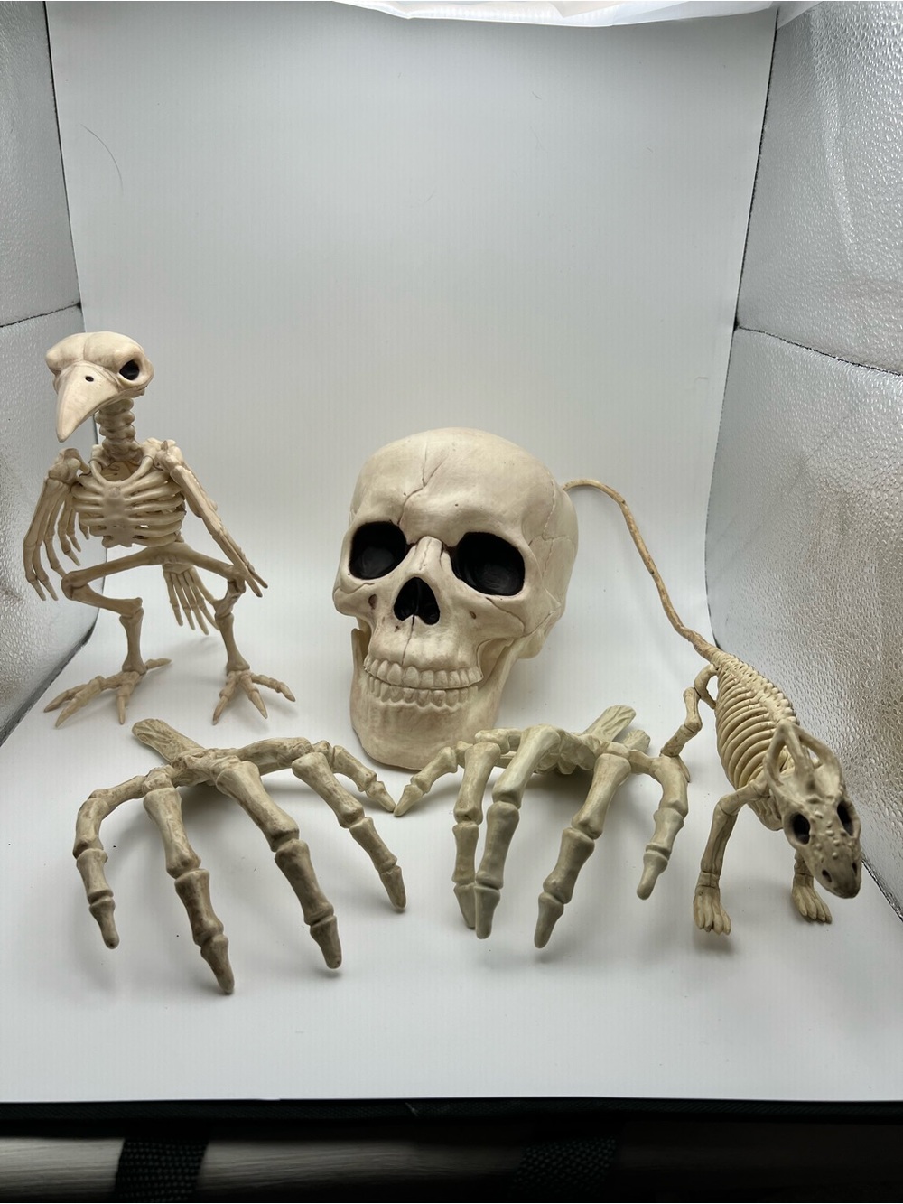 Halloween Decorative Beige Skull, Hands, Raven and Rat Skeleton Set 5